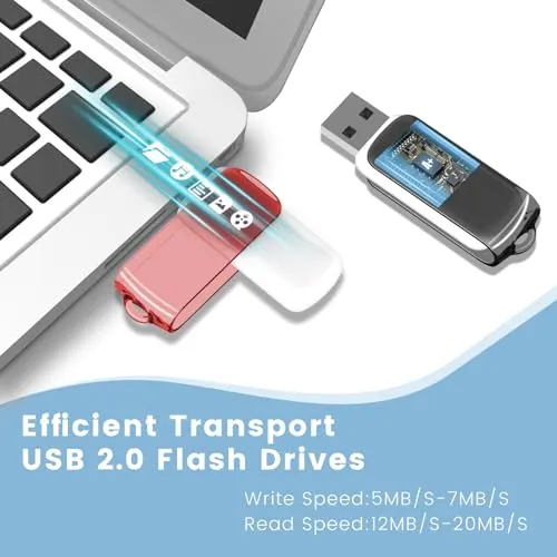 AGECASH 128GB Flash Drive USB 2.0 Thumb Drives 5 Pack with Landyard, Swivel ABS Plastic USB Key Memory Sticks Pendrive Zip Drive USB Drive 128GB USB Jump Drive, U Disk for Back to School & Office