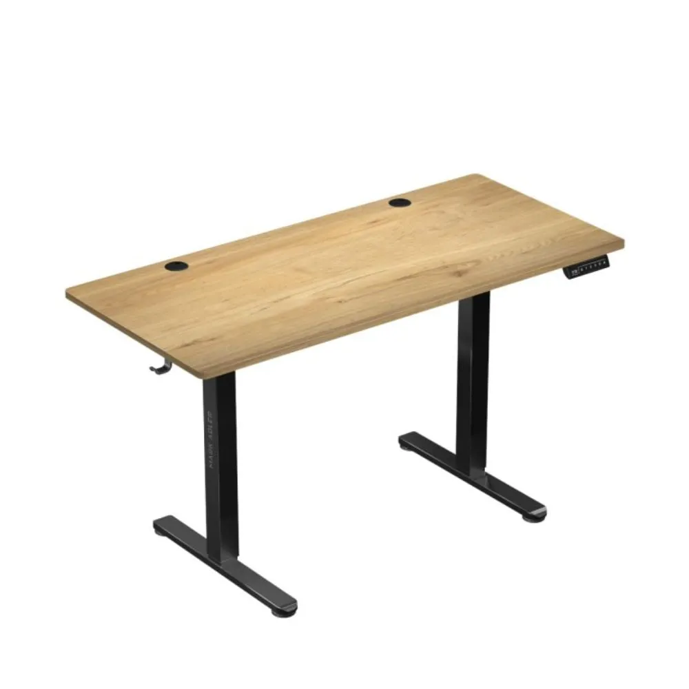 Mark Adler Leader 7.0 Electric Gaming Desk