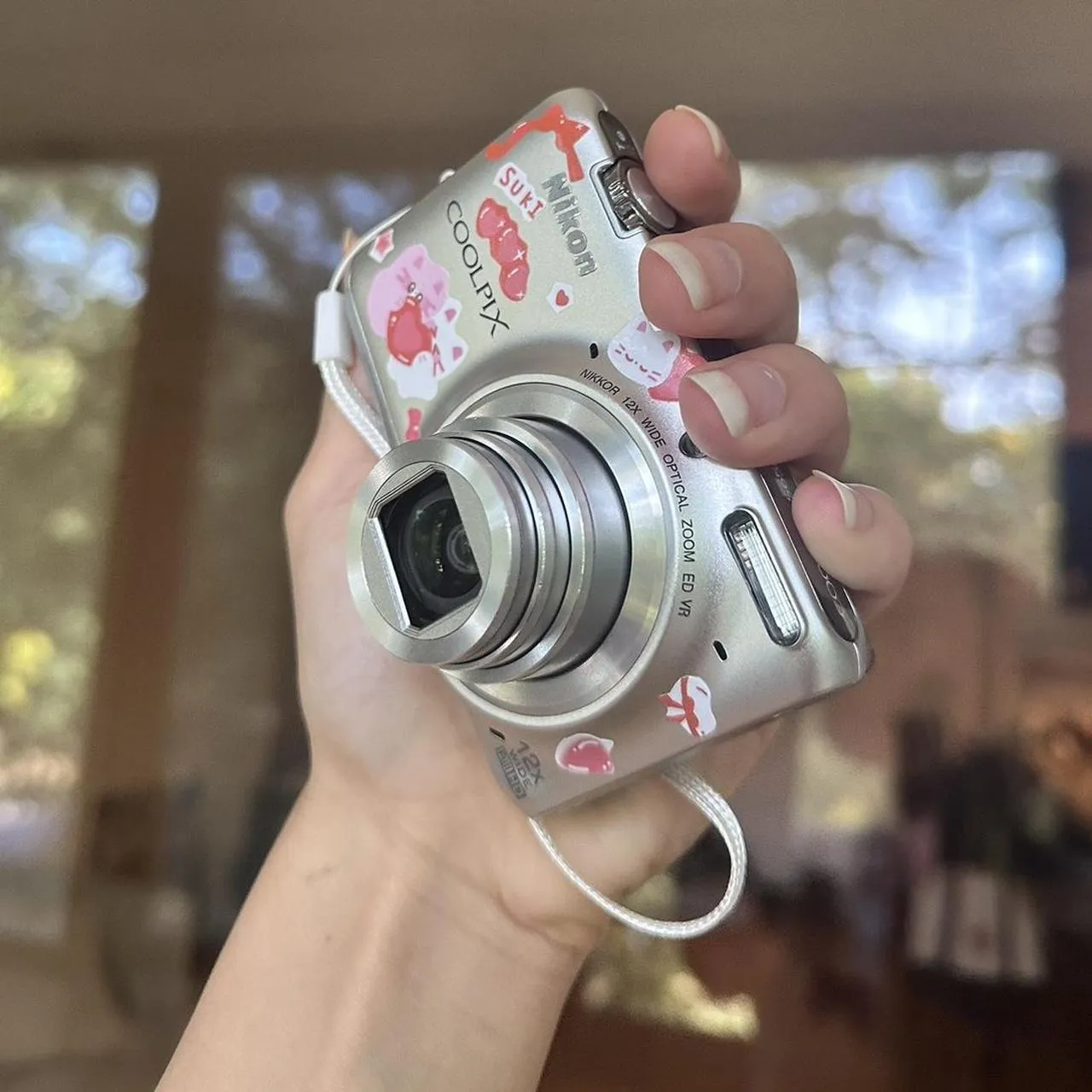 Nikon COOLPIX S6500 Wi-Fi Digital Camera with 12x Zoom (Silver)   📸
