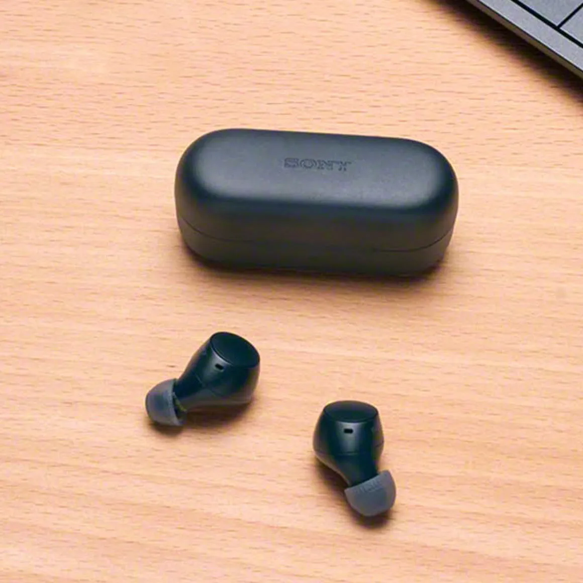 Sony - WF-C510