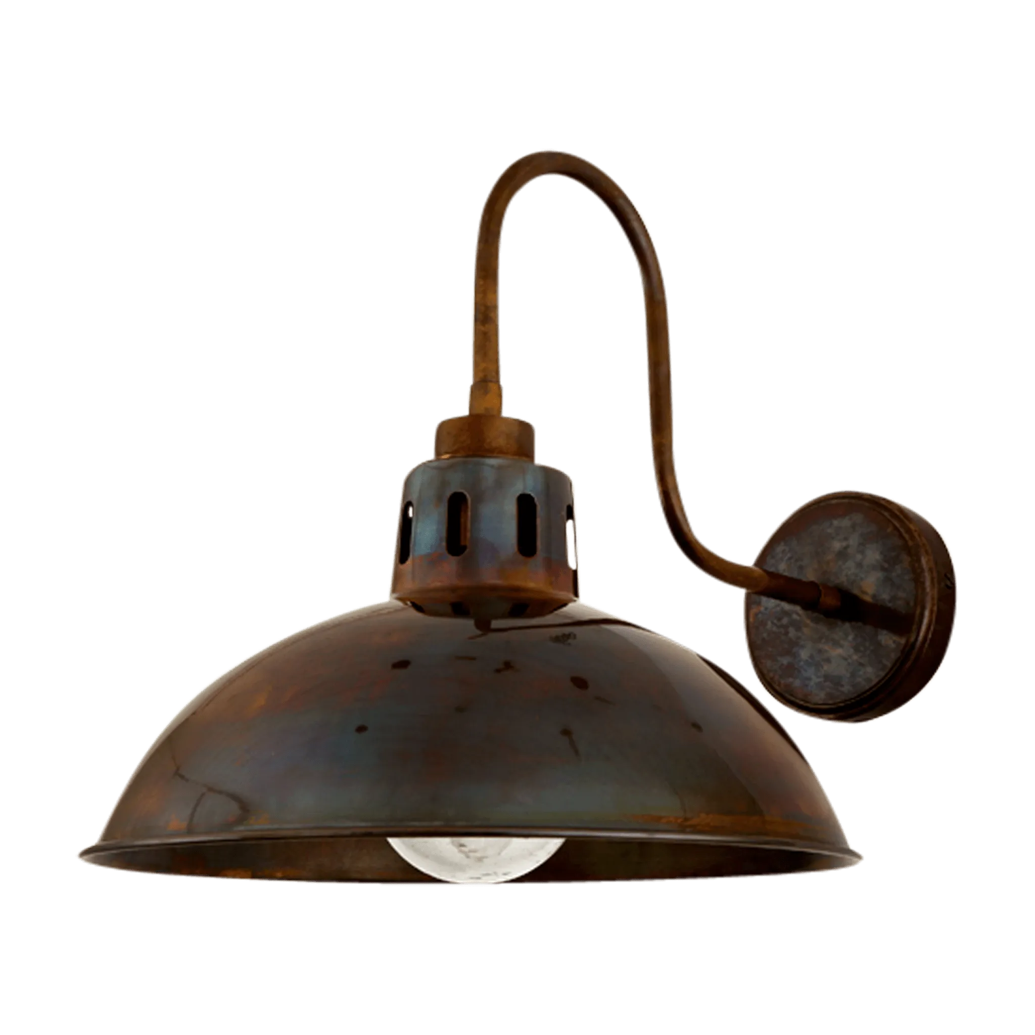 Talise Industrial Swan Neck Wall Light