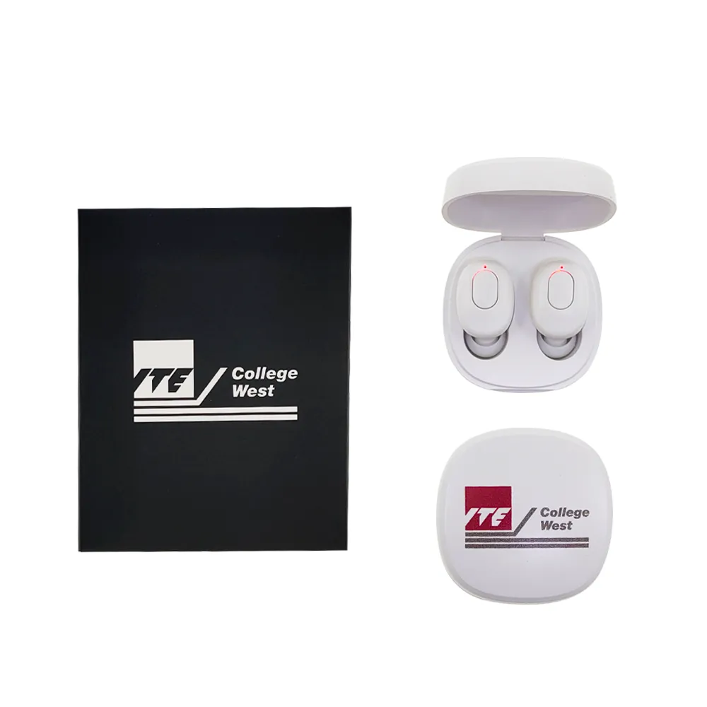 Wireless Bluetooth Earbuds with Rechargeable Dock